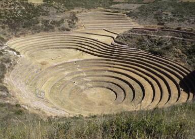 Inca Crops